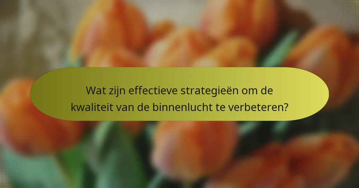 Wat zijn effectieve strategieën om de kwaliteit van de binnenlucht te verbeteren?